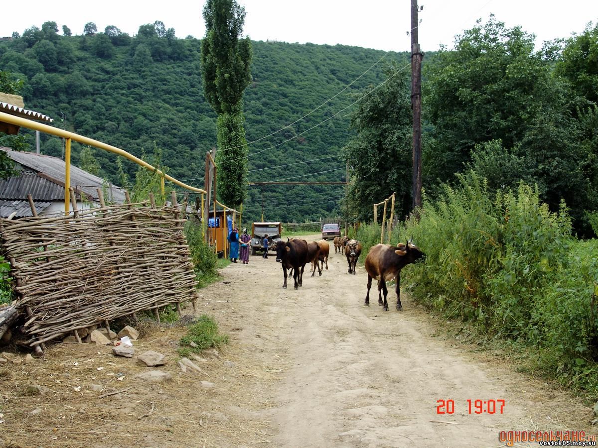 Погода в селе джули