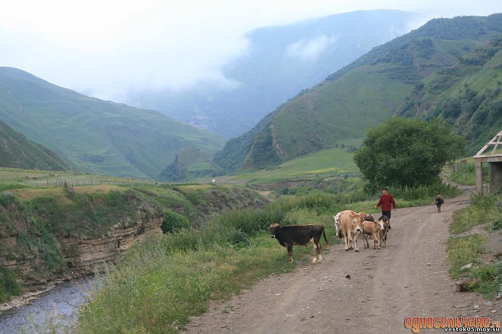 Село кунки дахадаевского района фото